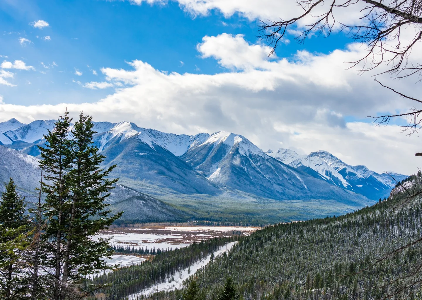 Our Services Booking Services Banner